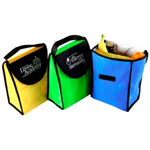 Kool Tote Insulated Lunch Bag