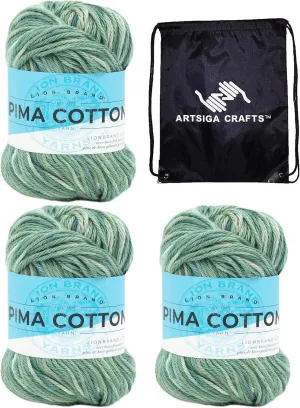 Lion Brand Pima Cotton Patagonia 762-502 (3-Skeins - Same Dye Lot) Worsted Medium #4 Cotton Yarn for Crocheting and Knitting with Project Bag