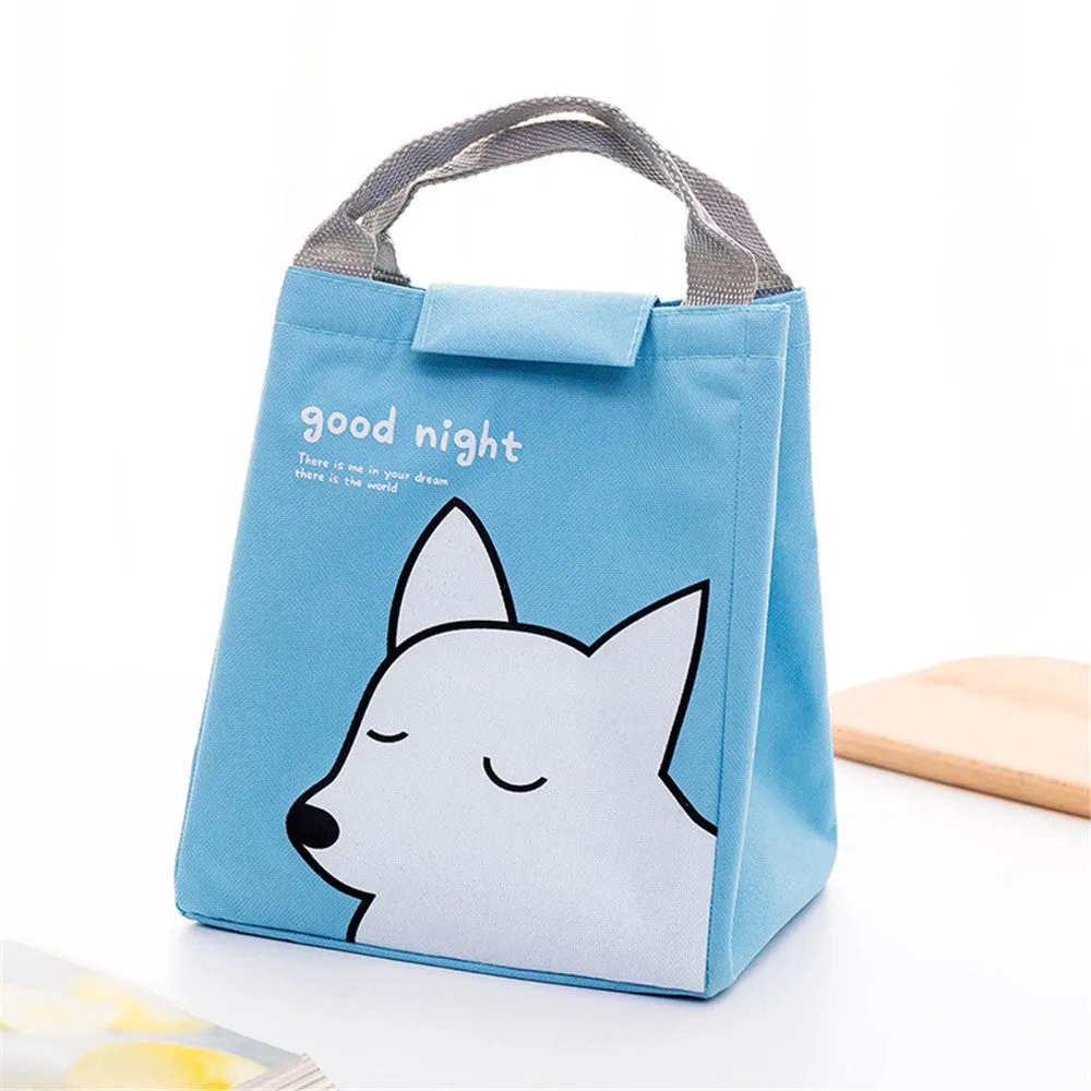 Portable lunch bag