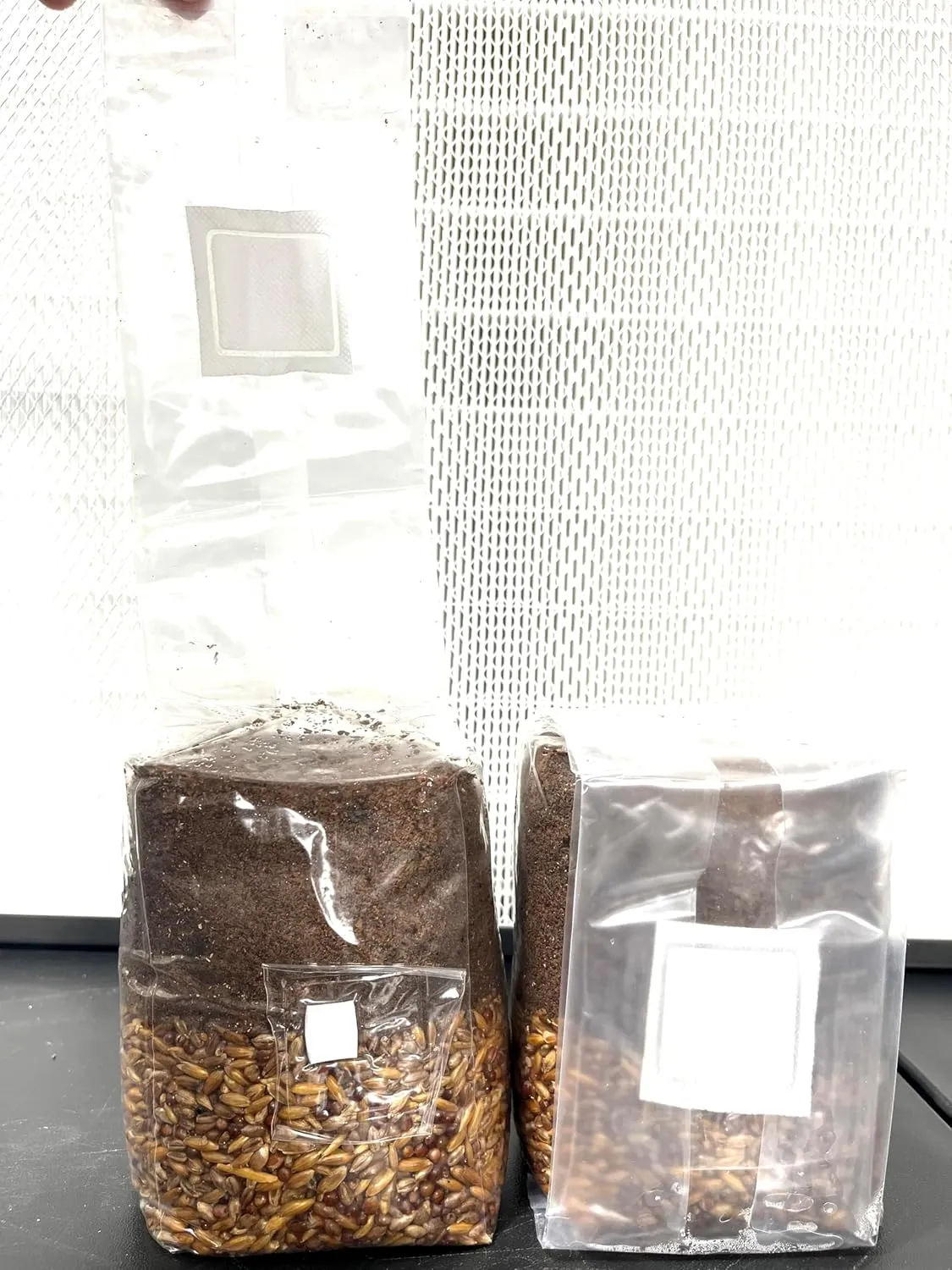 Premium Wood Loving 2 -Pack All-in-One Mushroom Grow Bags Great for Culinary and Functional Mushrooms