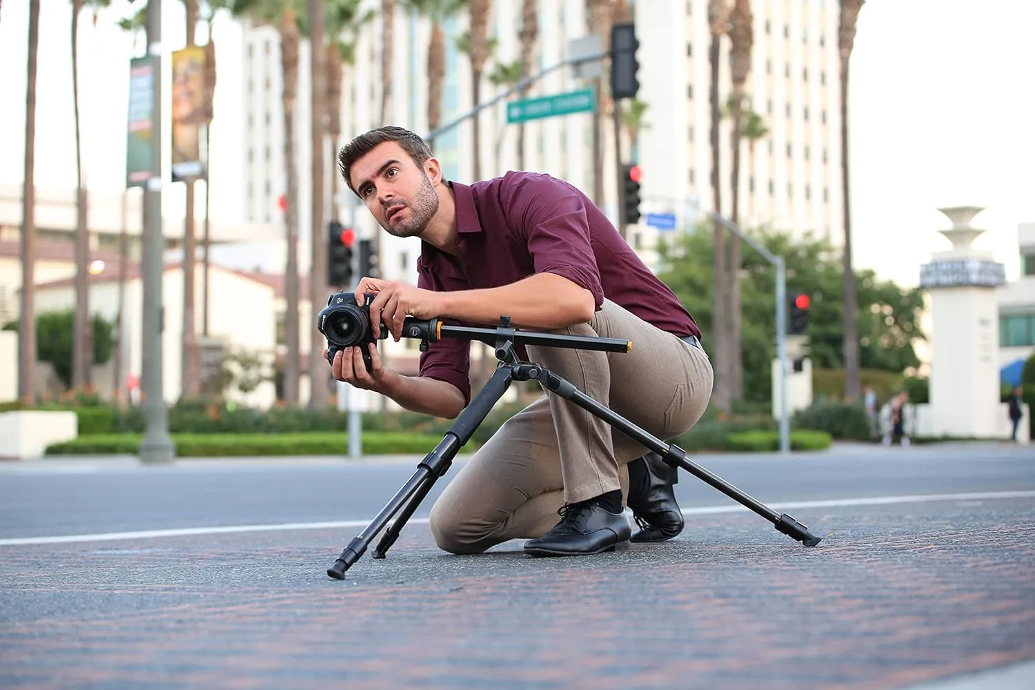 Vanguard Alta Pro 2  263AB 100 Aluminum Tripod with Alta BH-100 Ball Head and Multi-Angle Center Column